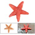 thumbnail image 4 of RKSTN Baby Toys Realistic Sea Animals Solid Simulation Figurines ABS Figures Models Collection Educational Toys For Children Educational Toys for Toddler Babies, 4 of 4