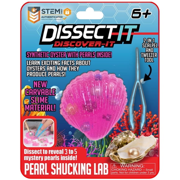 Trousses de dissection Dissect It – Série Découverte - Huître