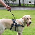 thumbnail image 3 of Retractable LED Dog Leash with Built-in Waste Bag Dispenser and Reflective Tape for Enhanced Nighttime Visibility During Outdoor Walks, 3 of 4