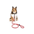 thumbnail image 2 of One Paw, Hiker Reflective Rope Dog Leash, Multiple Colors, 5 ft, 2 of 2