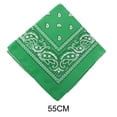 thumbnail image 4 of Birdeem Paisley Bandanas Multi Colored Set Cowboy Bandana Head Scarf Double Sided, 4 of 8