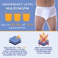 thumbnail image 2 of Wearever Men's Incontinence Underwear Open Fly Washable Briefs, Maximum Absorbency Assorted 3-Pack, 2 of 10