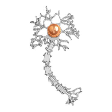 TopLLC Brooches Brooch Pins For Women Fashion Alloy Nerve-Tissue Rhinestone Jewelry Sweater Shawl Scarf Buckle Brooch Pins the brooch