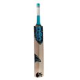 thumbnail image 1 of DSC Master 2000 Kashmir Willow Tennis Cricket Bat - Size Short Handle | Color - Blue, 1 of 3