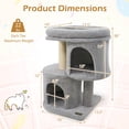 thumbnail image 3 of Costway 26" Small Cat Tree with Large Padded Plush Perch, 2 Condos, Sisal Scratching Posts Light Gray, 3 of 10