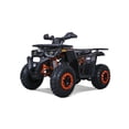 thumbnail image 1 of Tao Motor Raptor 200 Sport VTT pour Adulte (Assemblage Requis), Jouet à Chevaucher 4 Temps à Essence 169 Cc, Charge Max 330 Lb, Gris, 1 of 4