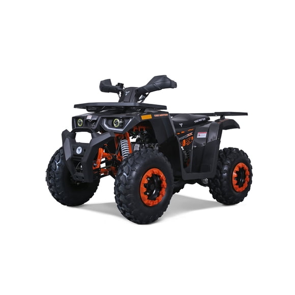Tao Motor Raptor 200 Sport Adult ATV (Assembly Required), Gas Power 169CC 4-Stroke Ride on Toys, Max Loading 330Lbs, Gray