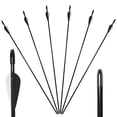 thumbnail image 1 of Runzkzy Metal Arrows 29 inch 6/12PCS Hunting Arrows for Bow Compound Recurve and Traditional Bows, 1 of 11