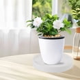 thumbnail image 1 of Caddy pour Plantes avec Roues Dissimulées, Déplaceur Rond de Pots de Fleurs Plateau de Plantes Intérieur Extérieur Poupée Palette de Plantes pour la Plantation de Semences, 1 of 7
