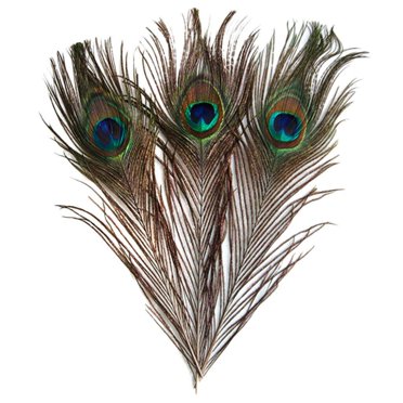 10 Pcs Plumes de Queue d'Œil de Paon pour Chapeau de Masque d'Artisanat 9-13 Pouces
