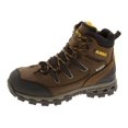 thumbnail image 1 of DEWALT Bison d'Argon 8 W, 1 of 5