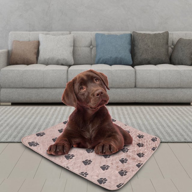 Tapis Réutilisable pour Chiots, Tapis d'Urine de Chien, Coussin d'Urine de Chien, pour Chiens de Compagnie pour la Formation des Chats