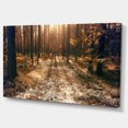 thumbnail image 2 of Road in Dark Wooded Forest - Modern Forest Canvas Art, 2 of 4