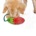 thumbnail image 3 of 2 Pcs Jouet pour Animal Fraise Résistant aux Morsures Réaliste Jouet Couineur pour Chien Jouet à Mâcher pour Animal, 3 of 10