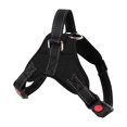 thumbnail image 1 of Amdohai Pet Chest Strap with Handle Reflective Dog Vest Harness Adjustable, 1 of 7