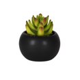 thumbnail image 1 of DesignOvation 3.75"H Tabletop Artificial Succulent in Black Ceramic Pot, 1 of 9