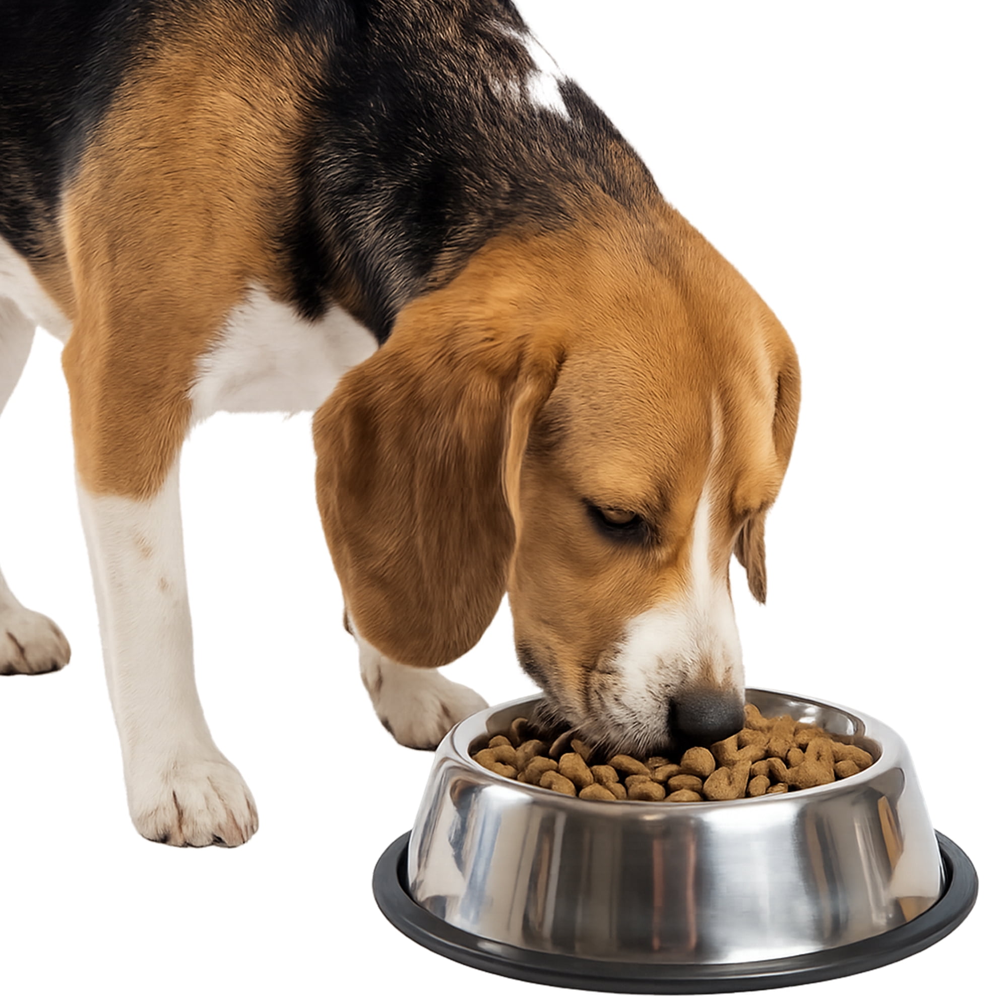 One Paw, Gamelle en Acier Inoxydable pour Chiens et Chats, Idéale pour la Nourriture, 950 ml