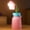 Pink#4, variant on Unique Wireless Flower Desk Lamp with Flexible Gooseneck, Rechargeable LED Lamp with USB Charging Port, 3 Color Modes and Stepless Dimming for Office Decor