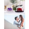 thumbnail image 2 of facefd Preserved Flower Rose Never Withered Roses Handmade Fresh Flower Cover for Valentine's Day Anniversary Birthday Blue, 2 of 4