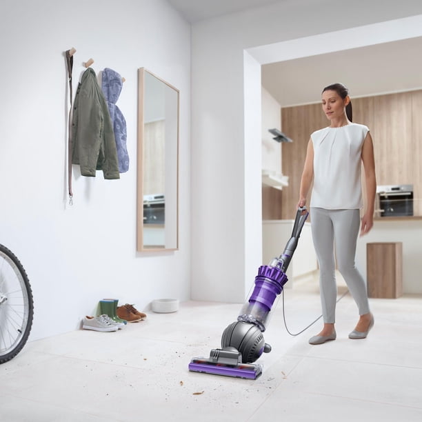 Dyson Ball Animal 2 Pro Upright Vacuum - Walmart.ca