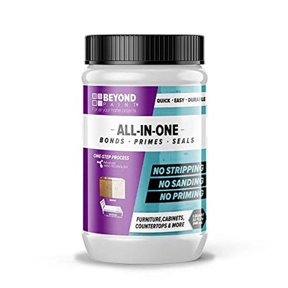 Beyond Paint Peinture Tout-en-un Multi-Usage Polyvalente de Finition 1 Quart, Vert Sauge