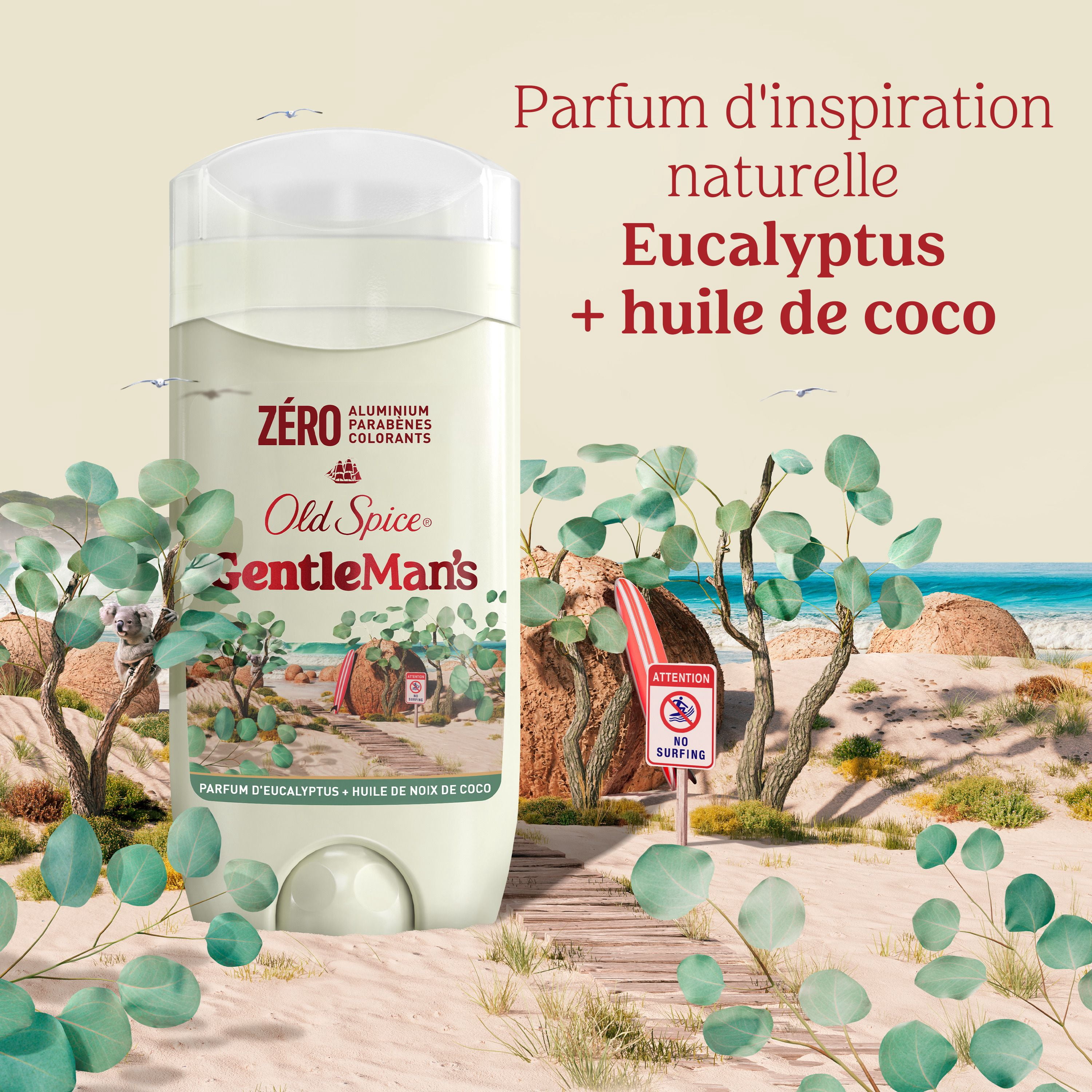 Désodorisant sans aluminium pour hommes Old Spice, Eucalyptus et huile de noix de coco