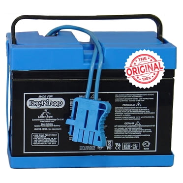 Peg Perego Batterie de Remplacement Officielle 12 Volts pour Jouets à Chevaucher. Performance Toutes Saisons. Fonctionne avec John Deere, Polaris et Case IH sous Licence Peg Perego Jouets à Chevaucher