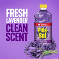 thumbnail image 1 of Pine-Sol Lavender Multi-Surface Cleaner, 1 of 1