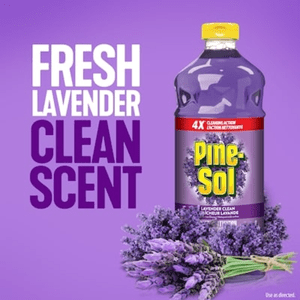 Pine-Sol Nettoyeur multi-surface de lavande