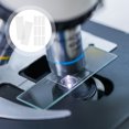 thumbnail image 3 of MasteelfCA 100pcs Microscope Slides Clear Blank Microscope Slides Biological Education Props, 3 of 7