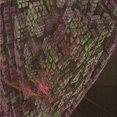 thumbnail image 1 of Ahgly Company Machine Washable Indoor Square Transitional Night Red Area Rugs, 5' Square, 1 of 7