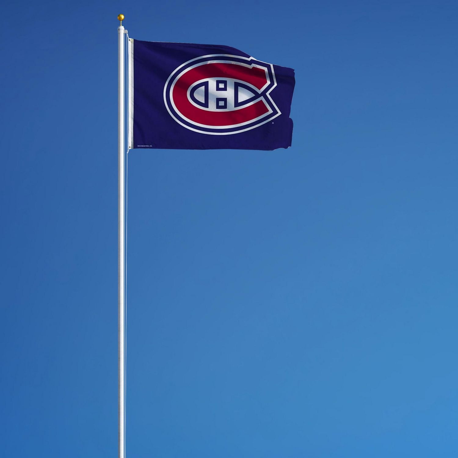 Drapeau des Canadiens de Montréal de la LNH de GTEI