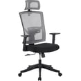 thumbnail image 1 of Twister.CK High Back Ergonomic Office Chair, Adjustable Lumbar Support & Headrest, Swivel Task Chair, Height-Adjustable Rocking Mesh Computer Desk Chair, for Home Office, Gray, 1 of 9