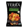 thumbnail image 1 of Terra Sour Cream & Onion, 1 of 5