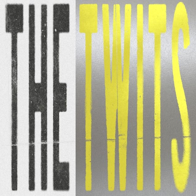THE TWITS (Édition Boutique Indie/argent)