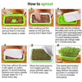 thumbnail image 4 of Lefu Plateau pour Micro-Pousses Hydroponique / Plateau de Germination pour Pousses, 4 of 9