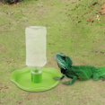 thumbnail image 4 of BELOVING Automatic Pet Water Feeder Container For Reptile Spiders Snakes Green 4, 4 of 10