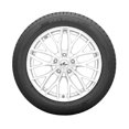 thumbnail image 3 of Toyo Celsius II 225/60R17 99V BSW tire, 3 of 7