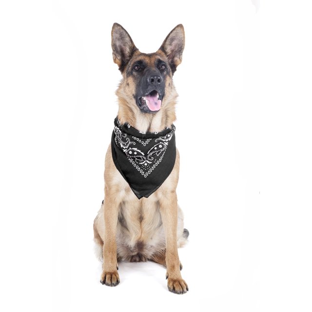2 Pack Paisley Polyester Pets Dogs Bandana Triangle Shape - Oversized (Black)