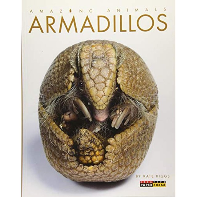 Armadillos, Kate Riggs Paperback