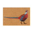 thumbnail image 1 of Tapis d'Entrée en Fibre de Coco Tapis d'Extérieur Tapis de Printemps pour la Maison Rectangulaire Tapis de Bienvenue Paillasson de Porte d'Entrée Extérieur pour l'Entrée de la Maison Extérieur, Imprimé Faisan à Longue Queue 16x24 Pouces, 1 of 7