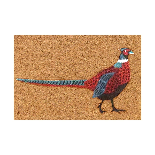 Tapis d'Entrée en Fibre de Coco Tapis d'Extérieur Tapis de Printemps pour la Maison Rectangulaire Tapis de Bienvenue Paillasson de Porte d'Entrée Extérieur pour l'Entrée de la Maison Extérieur, Imprimé Faisan à Longue Queue 16x24 Pouces