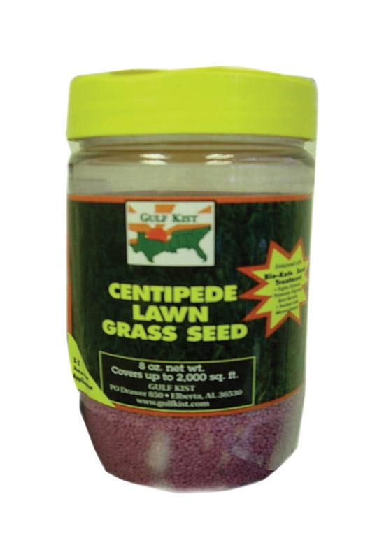 BARENBRUG 7105943 CENTIPEDE Herbe 8OZ (Lot de 1)