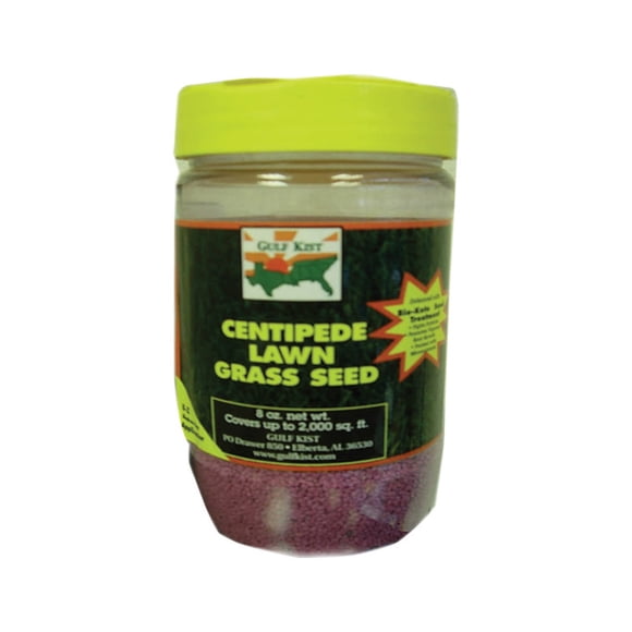 BARENBRUG 7105943 CENTIPEDE GRASS 8OZ (Pack of 1)