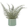 thumbnail image 1 of Bouclair fougère artificielle en pot, 1 of 4