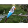 thumbnail image 2 of veasfak Fake Artificial Feathered Bird Realistic Garden Home Decor Taxidermy 44 Patterns Parrot 3, 2 of 6