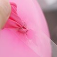 thumbnail image 4 of MasteelfCA 5m Two Holes Balloon Chain Tape Arch Connect Strip for Wedding Birthday Party Decor, 4 of 7