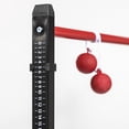 thumbnail image 2 of EastPoint Steel Ladderball Set, 2 of 9