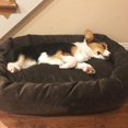 thumbnail image 3 of MesaSe Dog Bed  Soft Comfortable Sleeping Mat  Personalized Bedding Supportive Cushion Custom Embroidered  Small Brown, 3 of 4