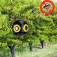 thumbnail image 3 of Terror Inflatable Bird Scare Balloon Bird Repellent  Balloon, 3D Eyes,  Features, Mimic  , Orchard, Farmland Repellent, 3 of 8